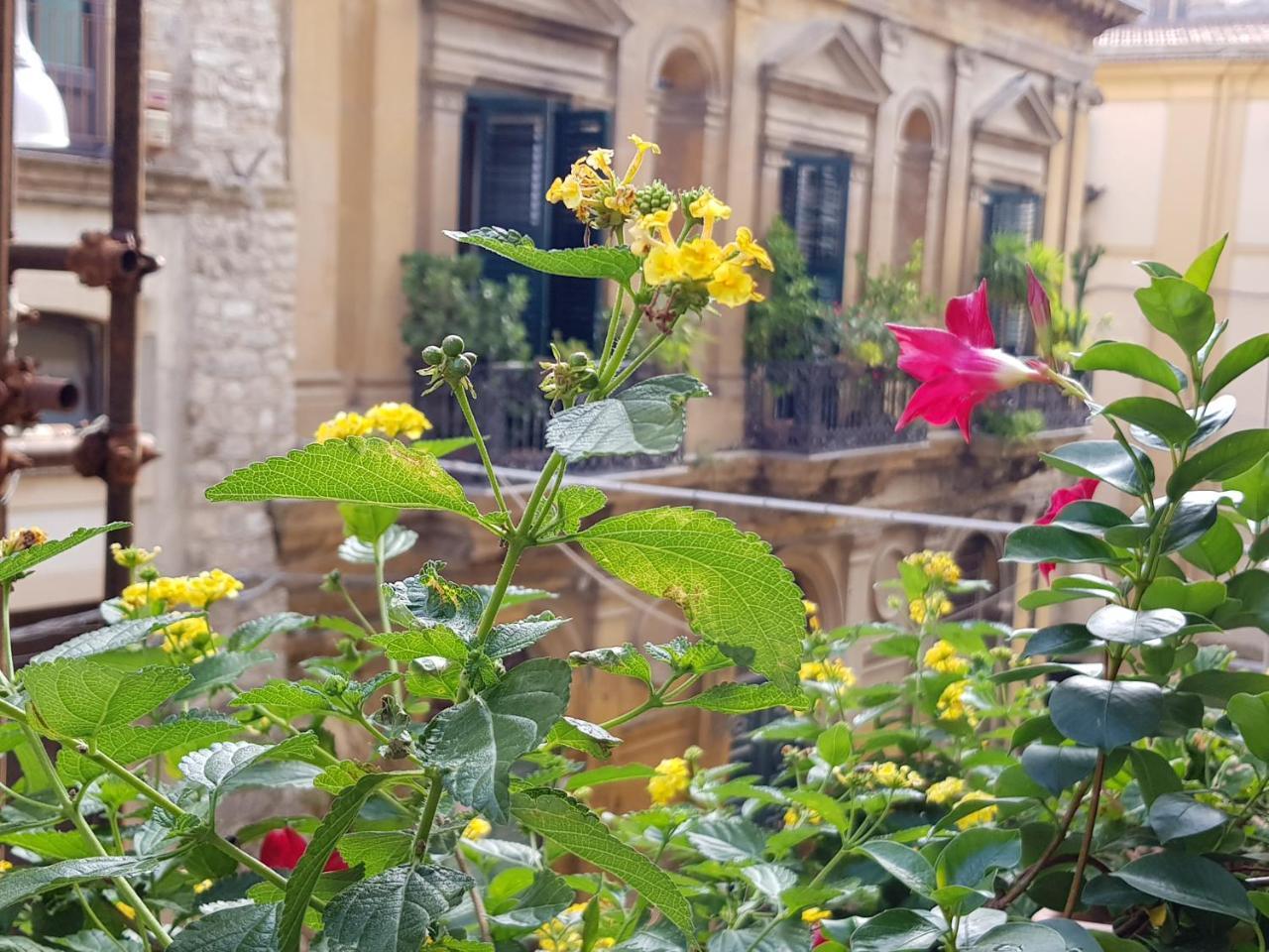 Casa Coccinella Bed & Breakfast Caltanissetta Ngoại thất bức ảnh